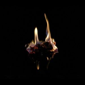 Meet your Posher, Eliana